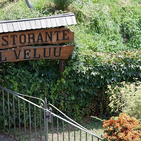 Alveluu Ristorante E Resort Tremezzo